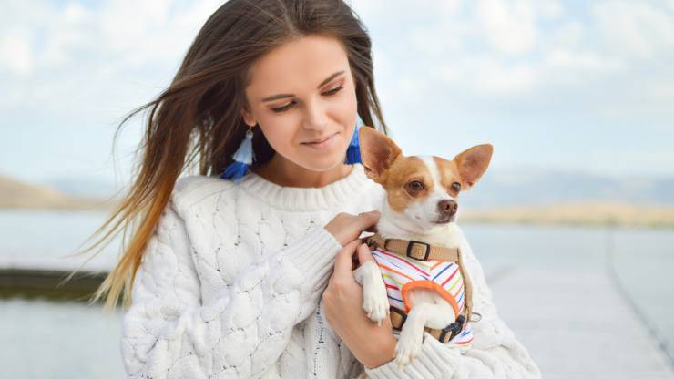 parlare con il cane rende intelligenti