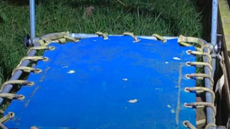 Trampolino (Foto video)