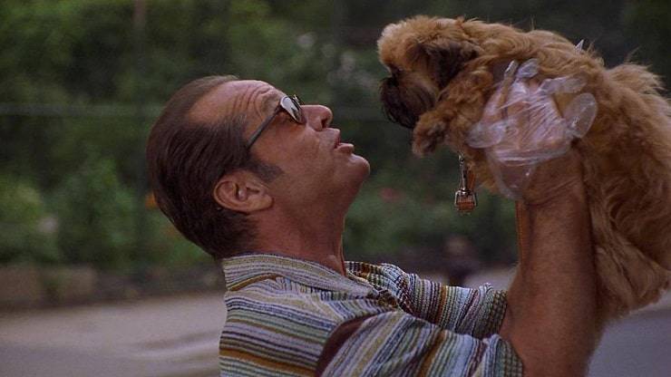 Cane Qualcosa è cambiato 