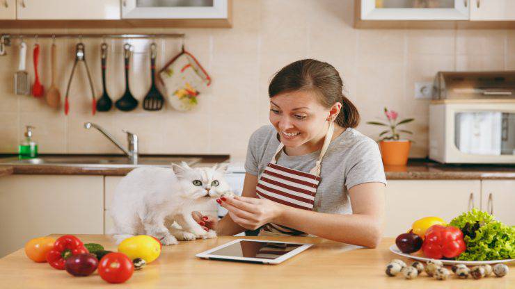 Cibi umani per gatti Cibi umani per gatti