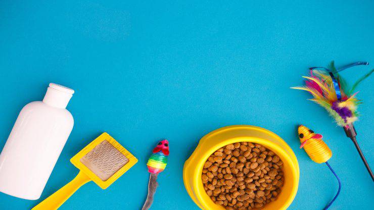 Come si usa lo shampoo a secco sul gatto Shampoo a secco per gatti