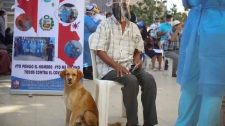 Cane Uomo Vaccino Covid