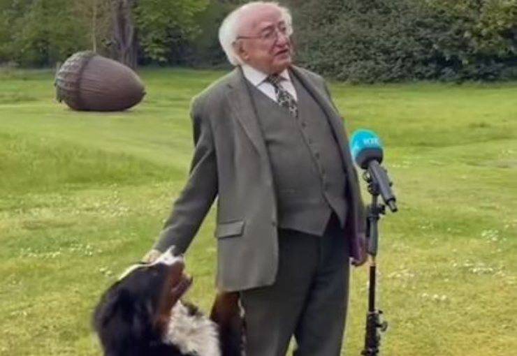 Presidente Irlanda Discorso Cane Video