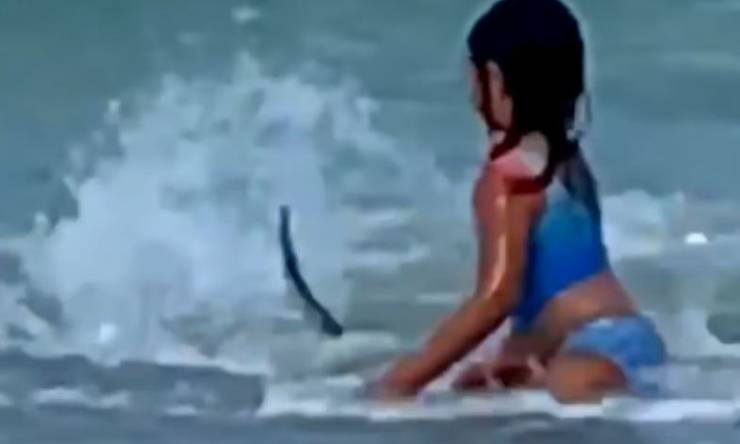 Bambina Squalo Hawaii Video