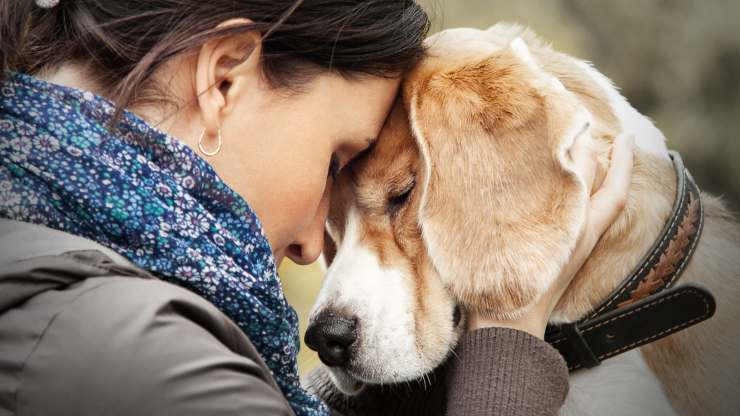 parlare telepaticamente con cane