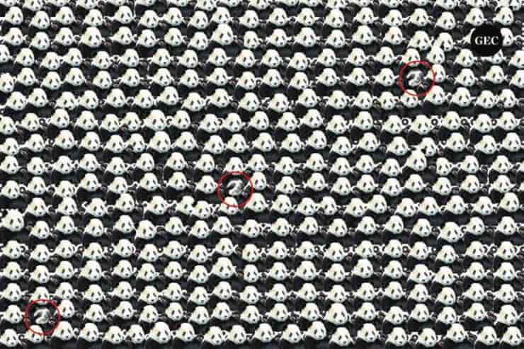 soluzione test visivo dei panda e degli orsetti lavatori