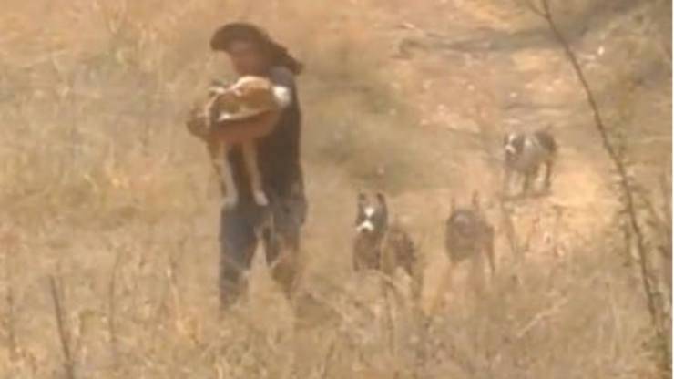 Il padrone e il cane (Foto video)