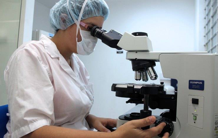 veterinario analisi