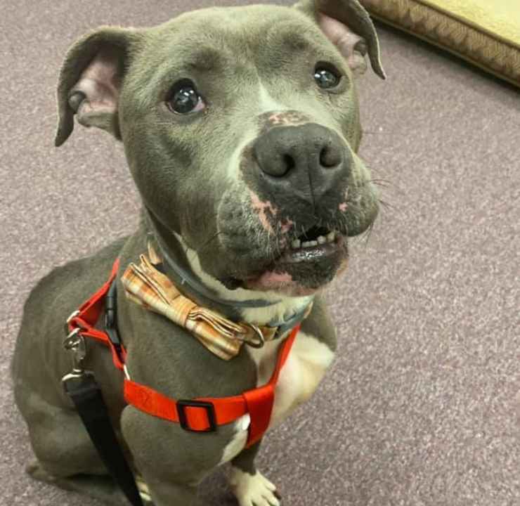 cane justice