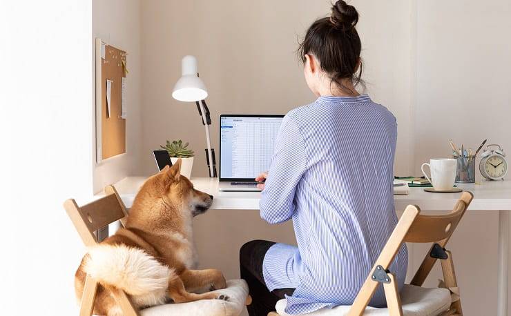 Take Your Dog To Work Day