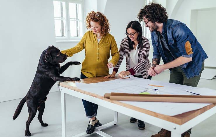 cane nero tra colleghi di lavoro