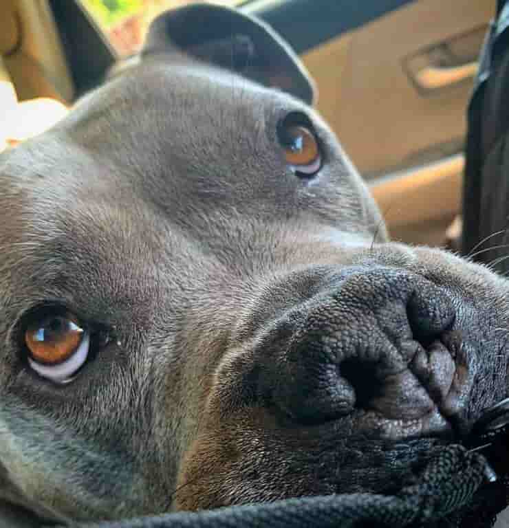 Mia (Screen Instagram)
