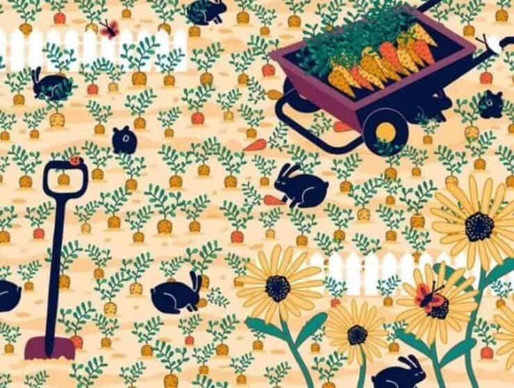 test visivo trova la fede nuziale nascosta nel campo di carote tra i conigli i fiori e le farfalle