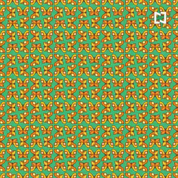 Il test delle farfalle diverse sfida gli utenti a trovare le uniche due farfalle diverse da tutte le altre
