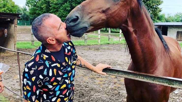 Tutte le curiosità sul cavallo di Eros Ramazzotti Eros Ramazzotti: chi è il suo cavallo