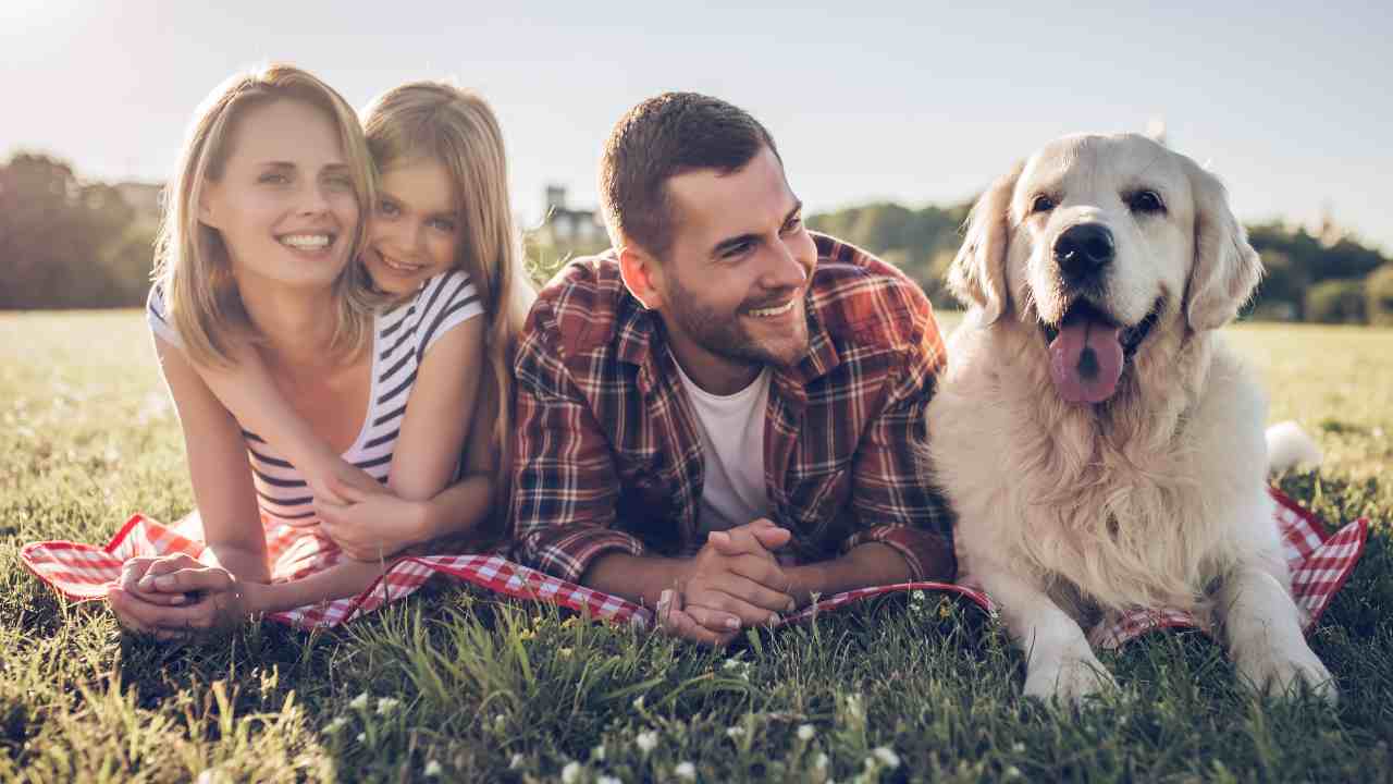 Cane sdraiato su un prato insieme alla sua famiglia umana Il comportamento del cane cambia dopo la sterilizzazione?