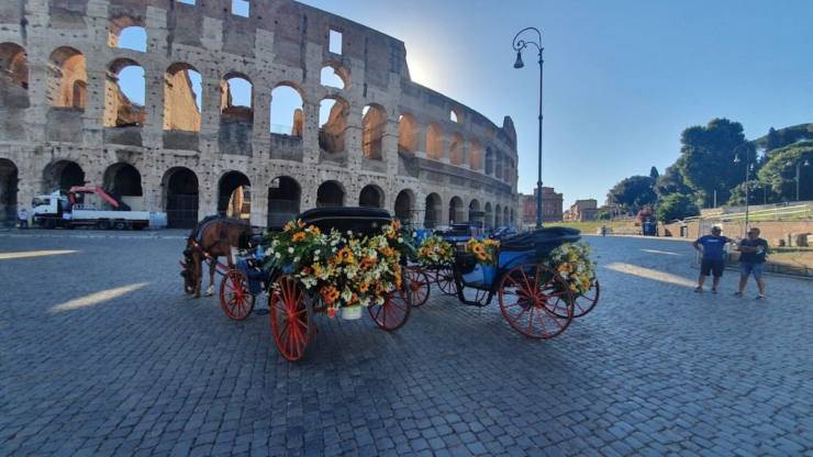 Botticelle Roma Stop Campidoglio Nuova Ordinanza
