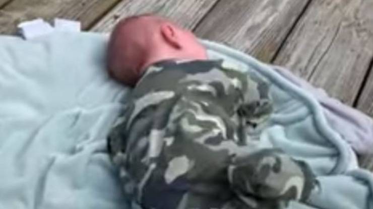 Neonato Pianto Mamma Cervo Video