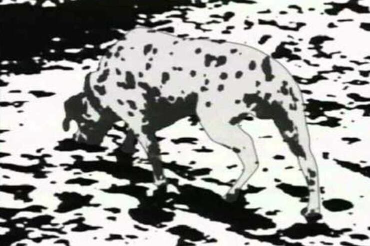 test visivo in bianco e nero difficilissimo 