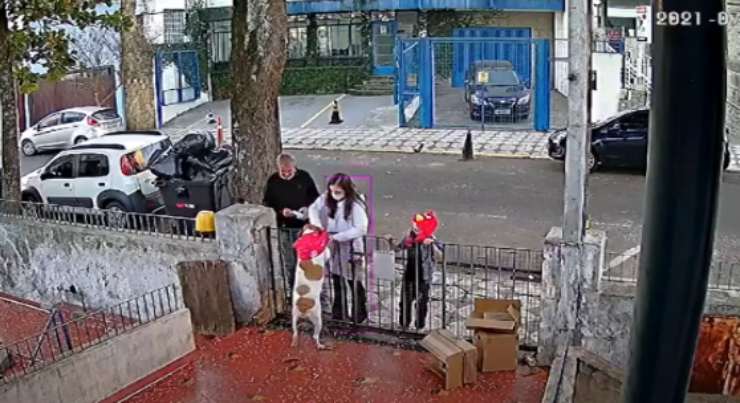 Cagnolina con il nuovo cappotto (Foto video)