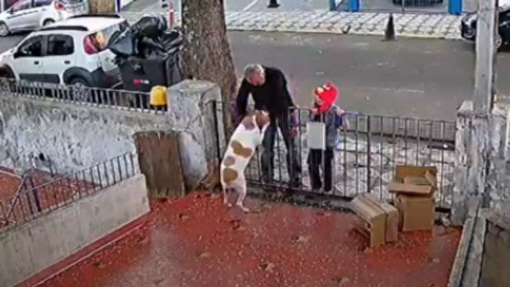 Cagnolina Nina (Foto video)