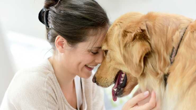 cani percepiscono nostre intenzioni