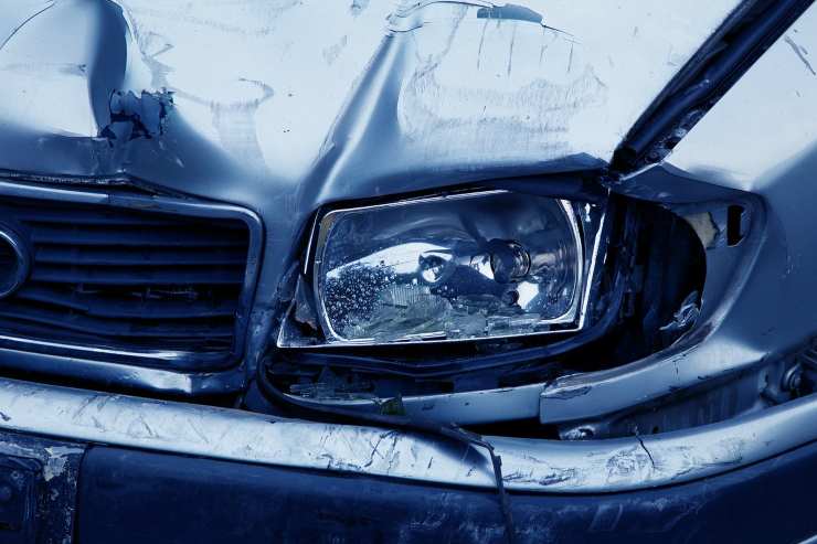 cane scappa incidente auto