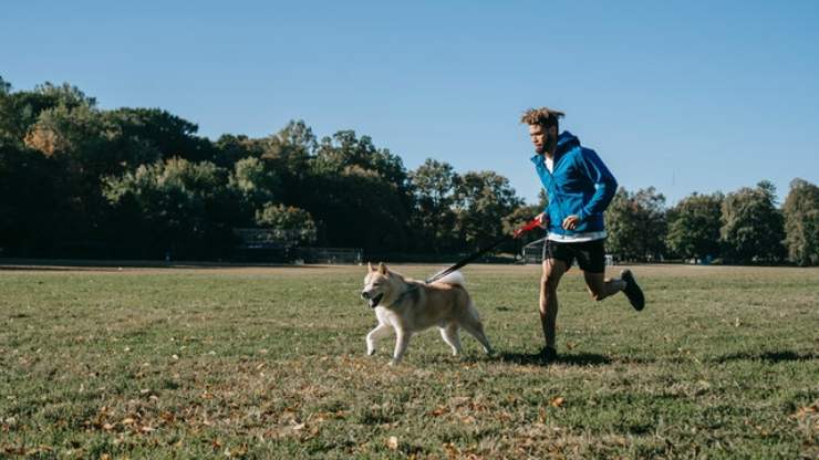 insegnare al cane a correre con te