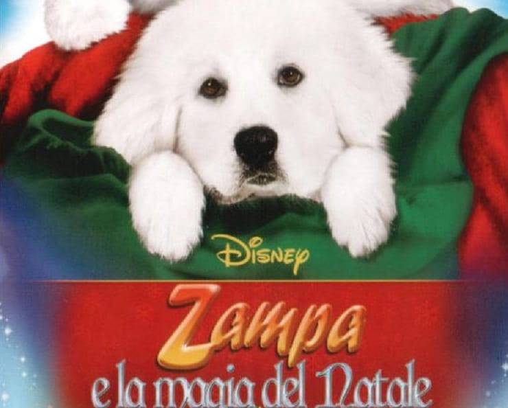 nome razza Zampa e la magia del Natale