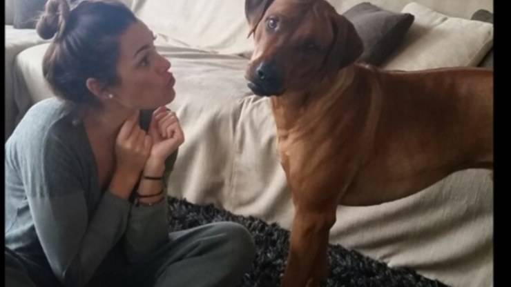 Chi è Sprint, il cane di Alena Seredova Alena Seredova e il cane Sprint