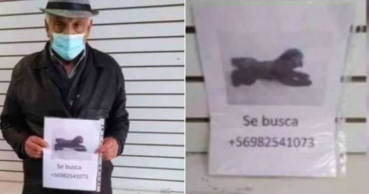 anziano cerca cane piangendo