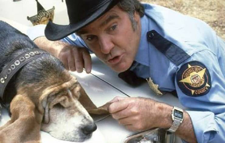 cane di Boss Hogg