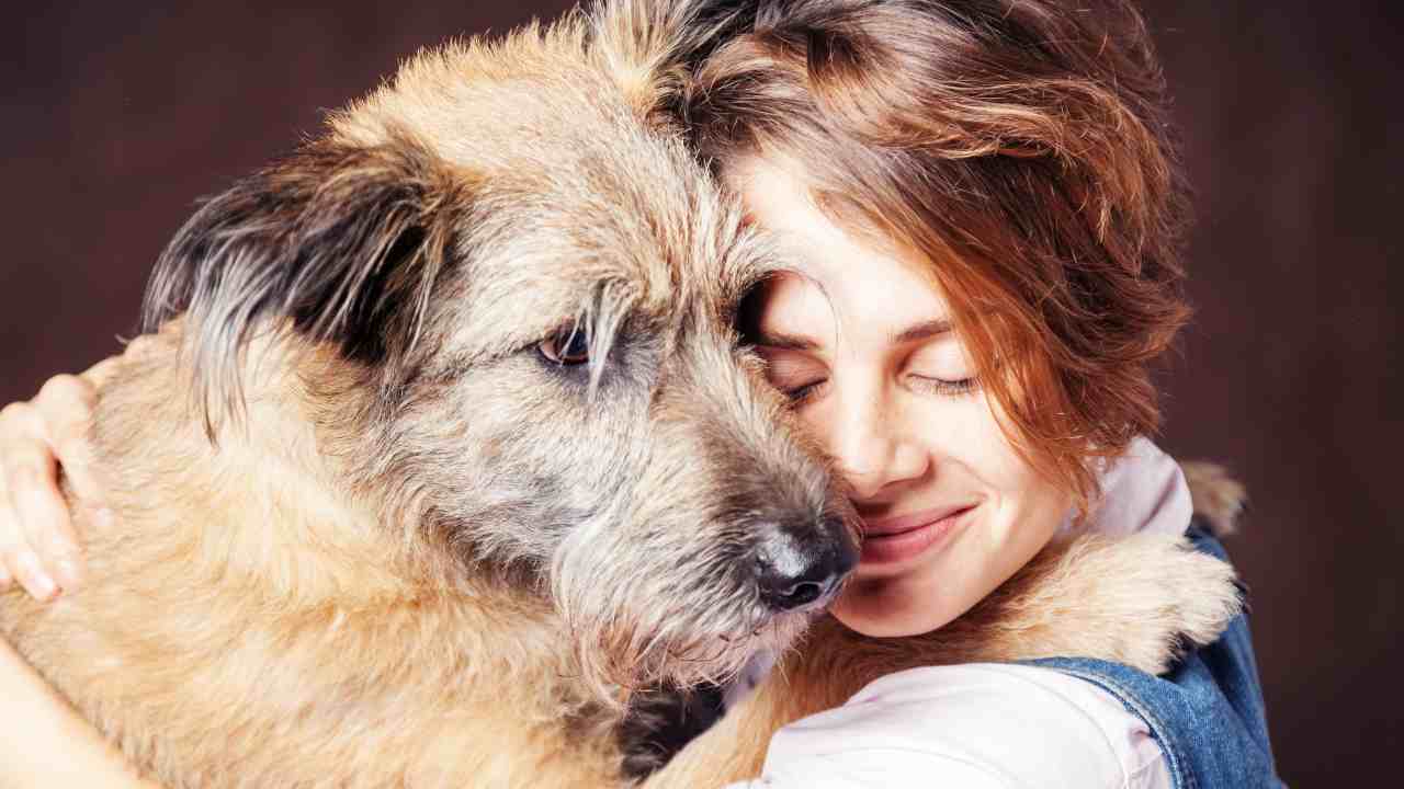 Comportamenti umani incomprensibili ai cani