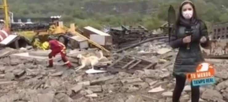 Durante la diretta il divertente siparietto tra pompiere e cane (Screen video)