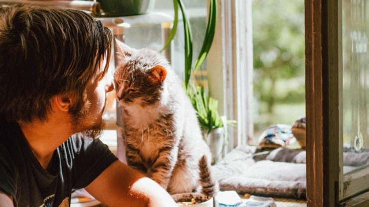 ai gatti piacciono le persone