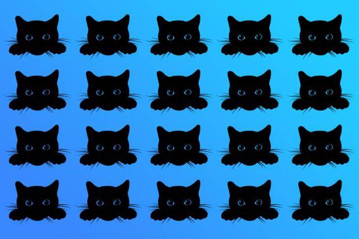 Il test visivo del gatto diverso: Riesci a trovarlo in soli 10 secondi?