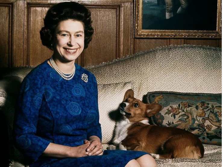La Regina Elisabetta e il suo cane Corgi