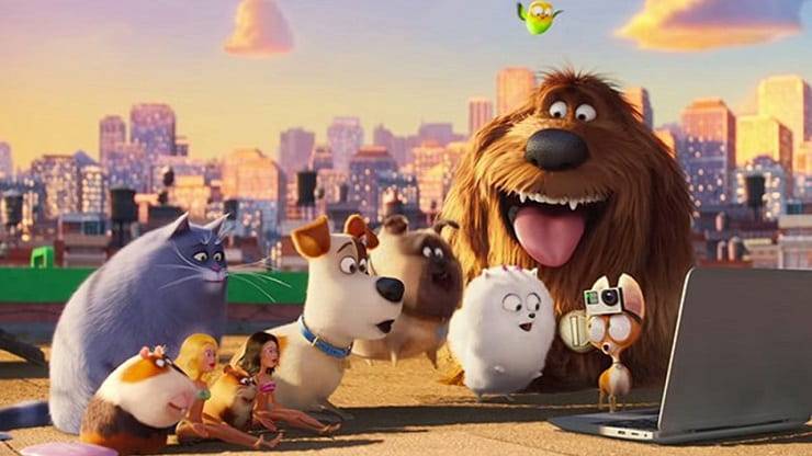 animali e cani di Pets
