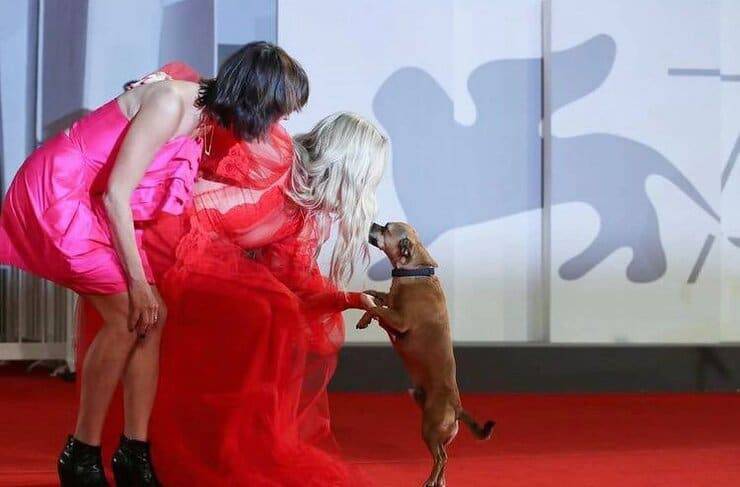 Benny insieme Ana Lily Amanpour e Kate Hudson sul Red Carpet (Screen Instagram)
