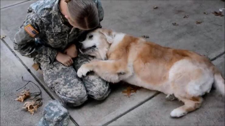 Buddy e Hannah (Screen video)
