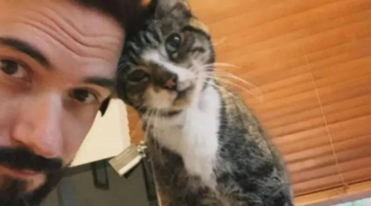 Il mio ed il suo padroncino