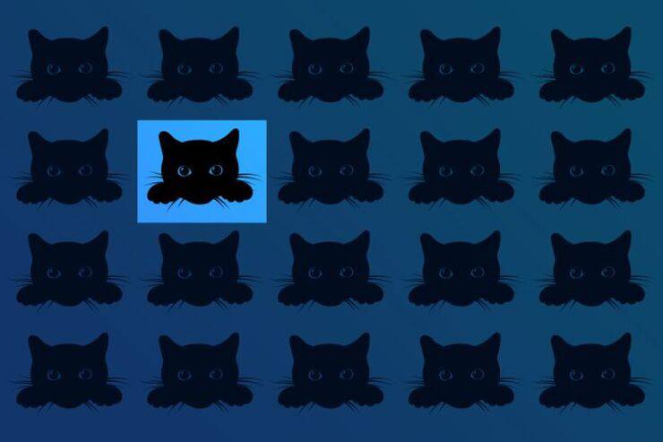 Soluzione del test visivo del gatto diverso