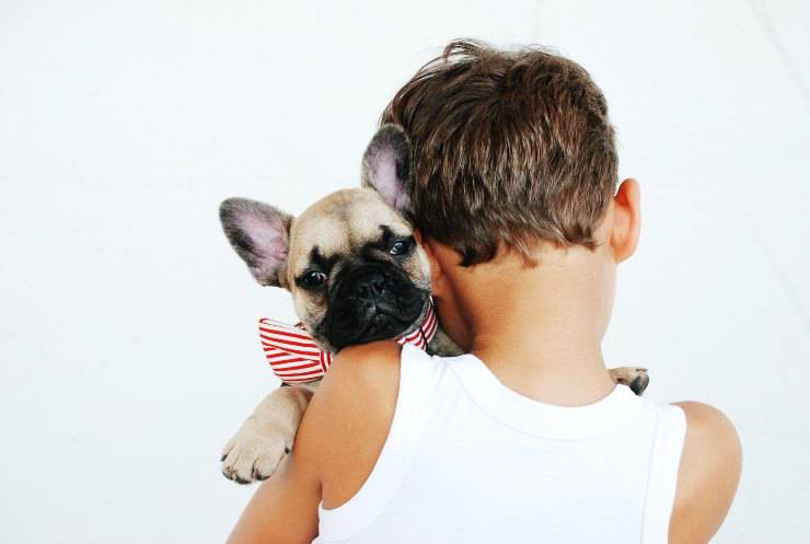 Il cane non apprezza le coccole