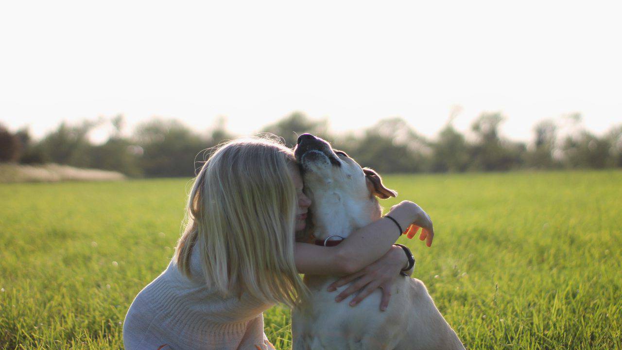 Perché fido sente se stai male
