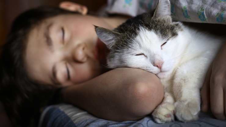 gatti scelgono con chi dormire
