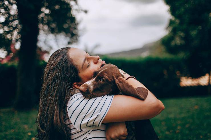 La sensibilità del cane