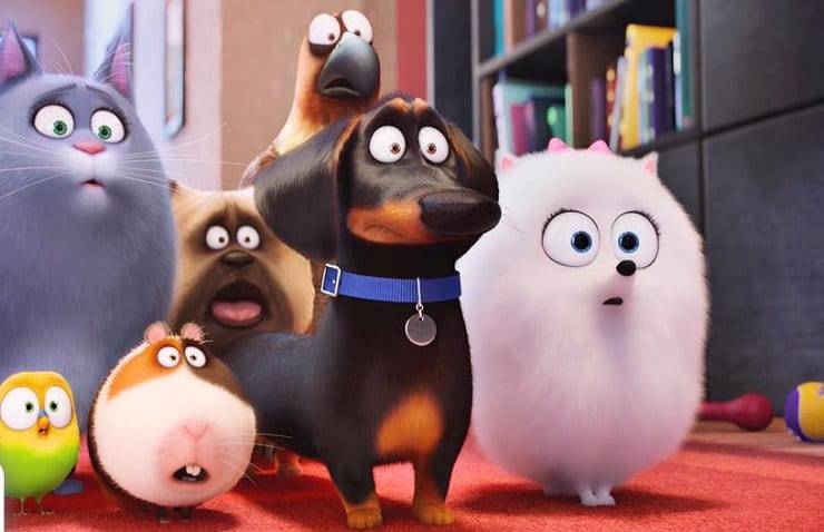 animali cartone pets