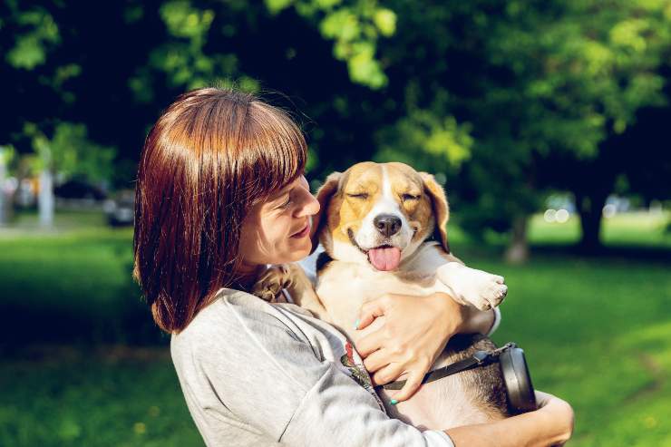 Razze canine perfette per le persone divertenti