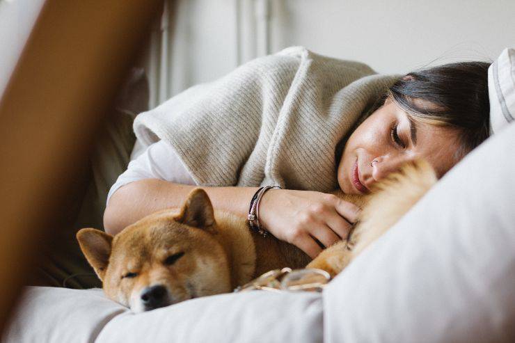 Fido sente se stai male