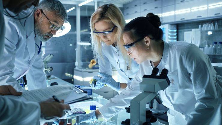 laboratorio 